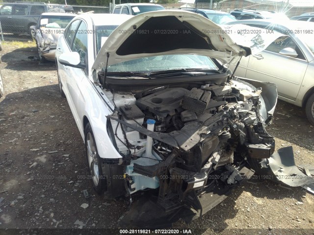 HYUNDAI SONATA 2019 5npe34af9kh749246