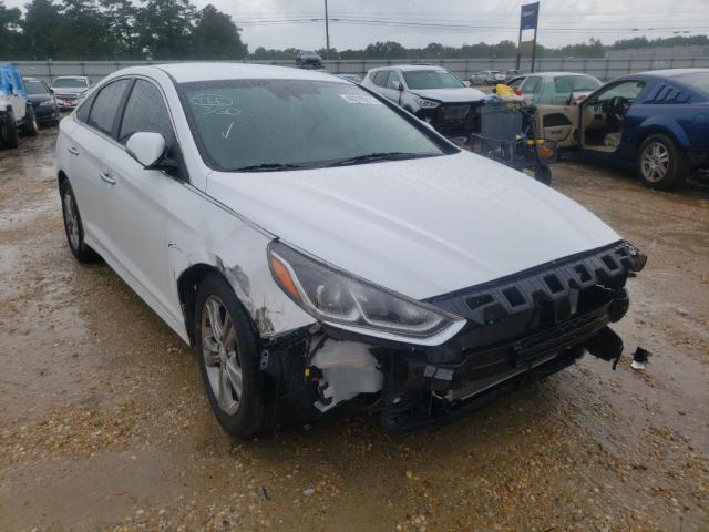 HYUNDAI SONATA LIM 2019 5npe34af9kh750834