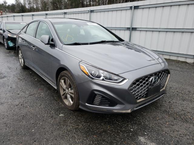 HYUNDAI SONATA SPO 2019 5npe34af9kh781923