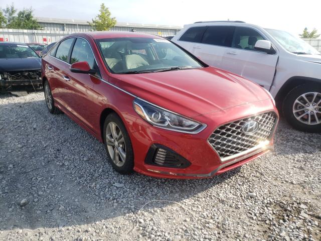 HYUNDAI SONATA LIM 2019 5npe34af9kh784630