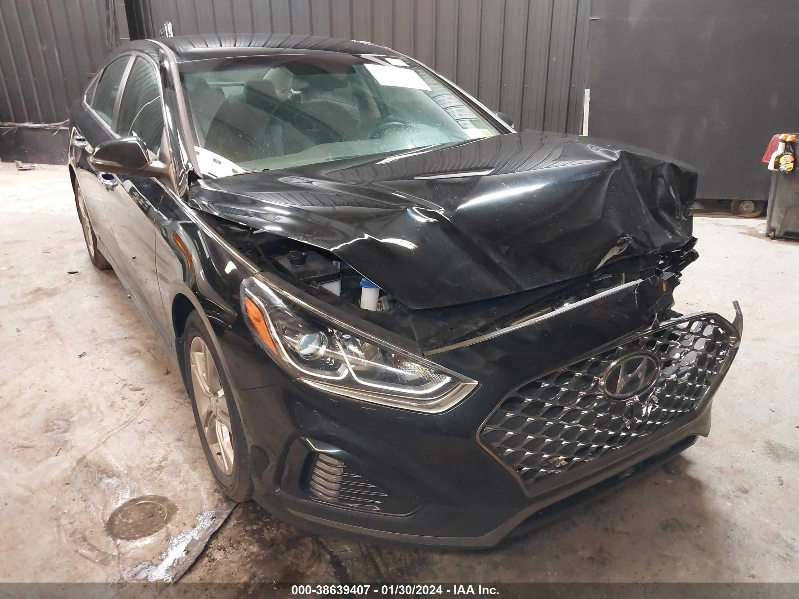 HYUNDAI SONATA 2019 5npe34af9kh811292