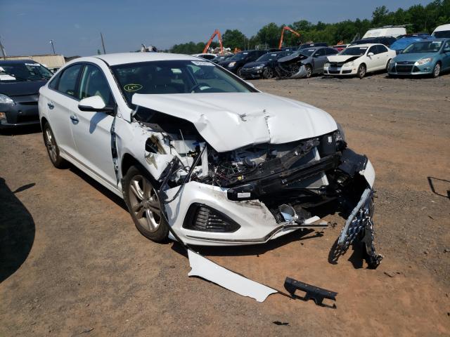 HYUNDAI SONATA LIM 2019 5npe34af9kh815021