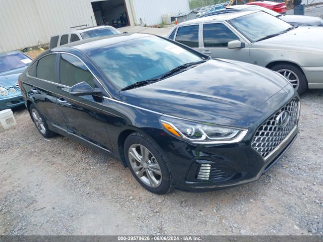 HYUNDAI SONATA 2019 5npe34af9kh816931