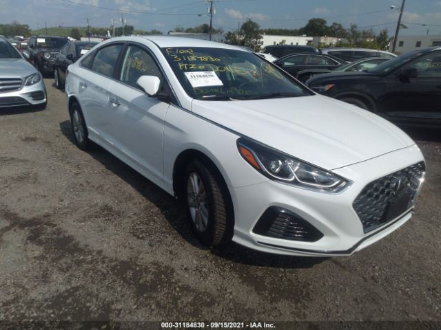 HYUNDAI SONATA 2019 5npe34af9kh820879