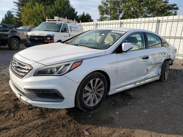 HYUNDAI SONATA SPO 2015 5npe34afxfh029198