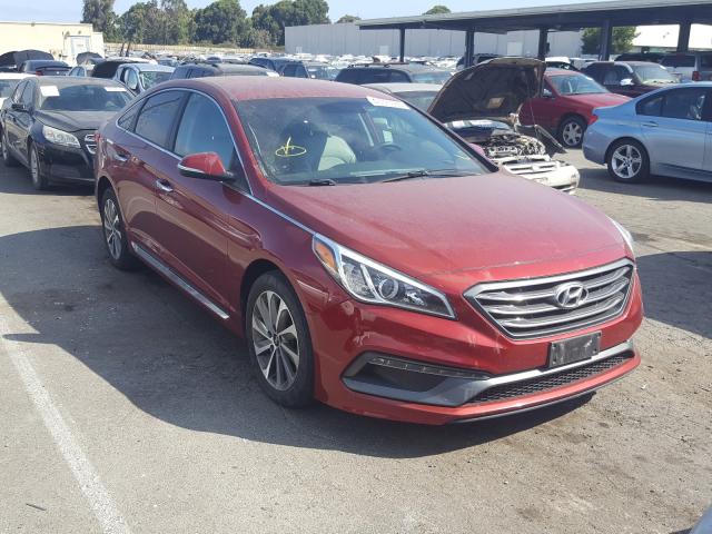 HYUNDAI SONATA SPO 2015 5npe34afxfh051928