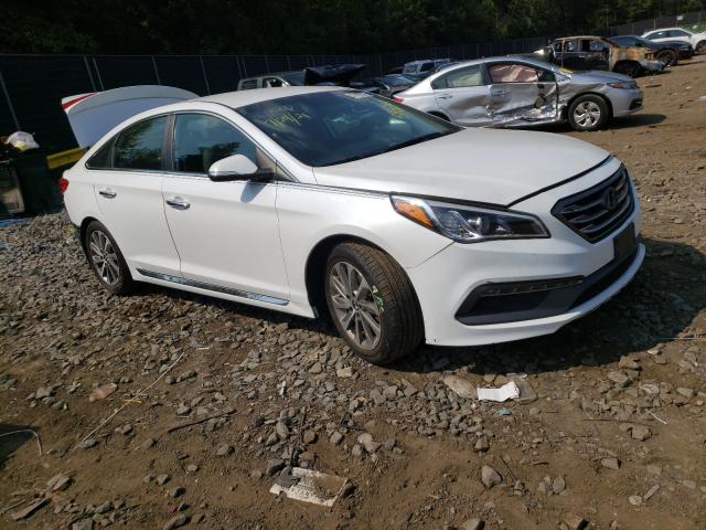 HYUNDAI SONATA SPO 2015 5npe34afxfh053629