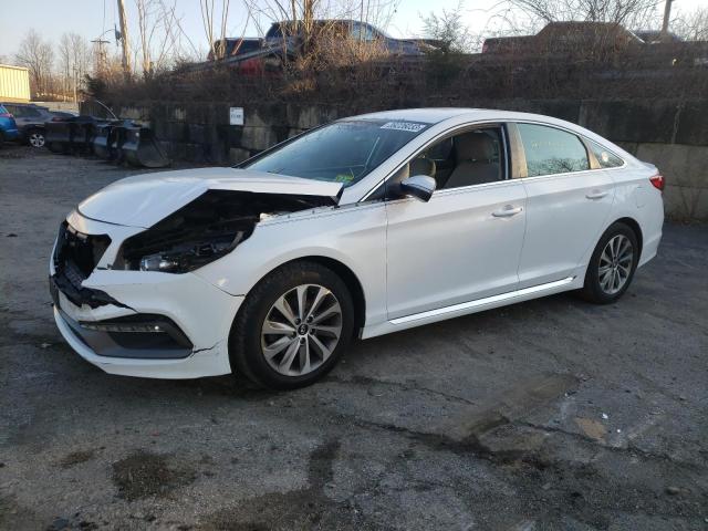 HYUNDAI SONATA SPO 2015 5npe34afxfh103932