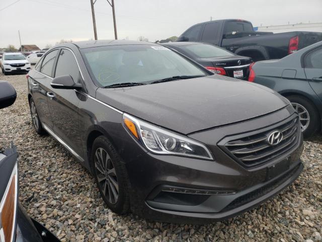 HYUNDAI SONATA SPO 2015 5npe34afxfh113523