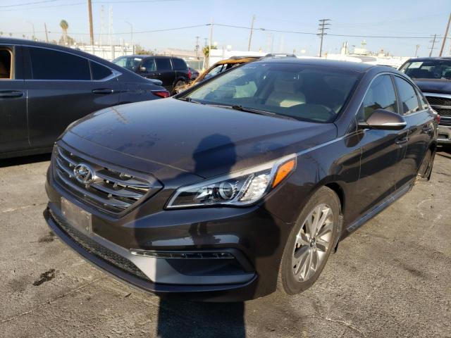 HYUNDAI SONATA SPO 2015 5npe34afxfh137479