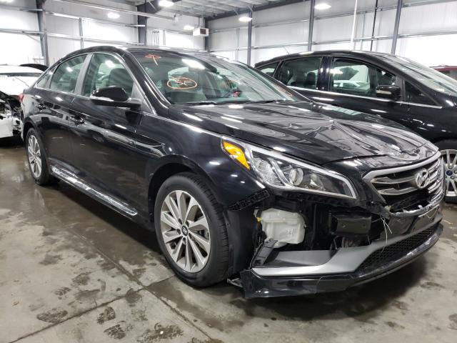 HYUNDAI SONATA SPO 2015 5npe34afxfh184432