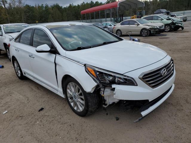 HYUNDAI SONATA SPO 2015 5npe34afxfh211144