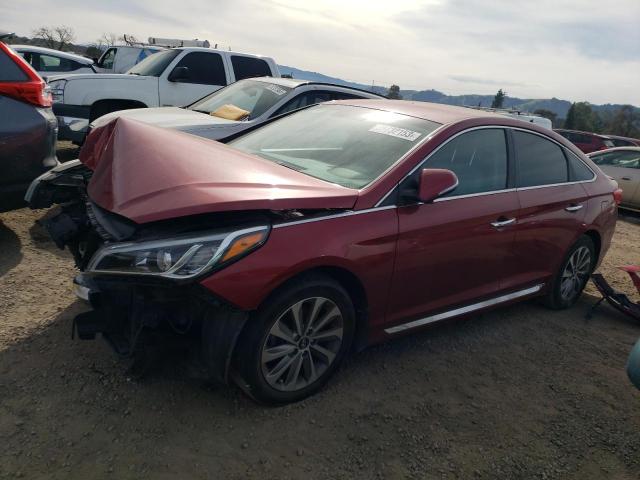 HYUNDAI SONATA SPO 2015 5npe34afxfh224914