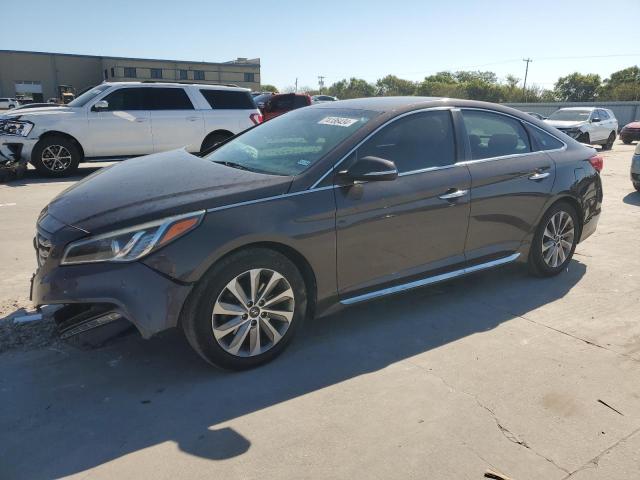 HYUNDAI SONATA SPO 2015 5npe34afxfh241311