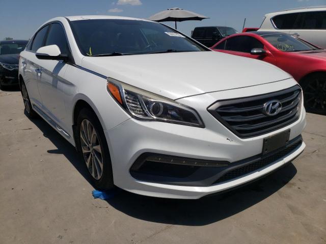 HYUNDAI SONATA SPO 2015 5npe34afxfh245116