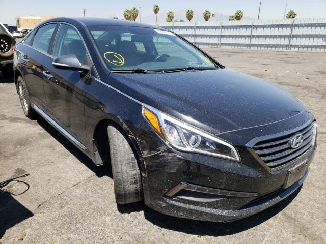 HYUNDAI SONATA SPO 2015 5npe34afxfh250333