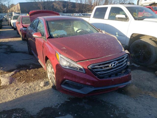 HYUNDAI SONATA SPO 2015 5npe34afxfh256682