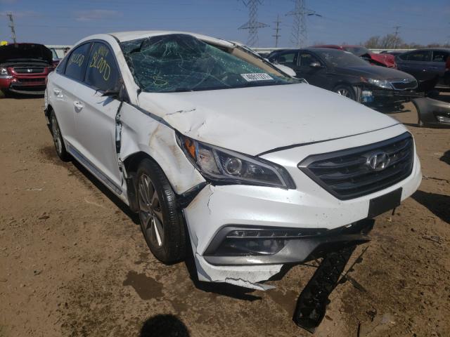 HYUNDAI SONATA SPO 2016 5npe34afxgh266629