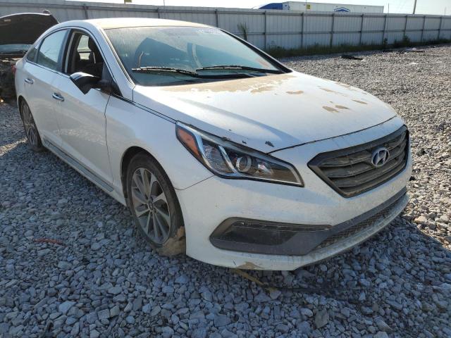 HYUNDAI SONATA SPO 2016 5npe34afxgh270552