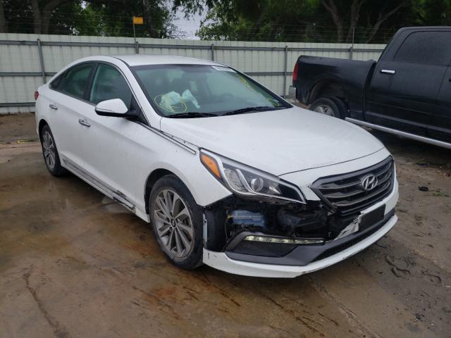 HYUNDAI SONATA SPO 2016 5npe34afxgh278621