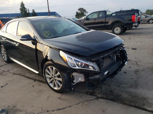 HYUNDAI SONATA SPO 2016 5npe34afxgh288565