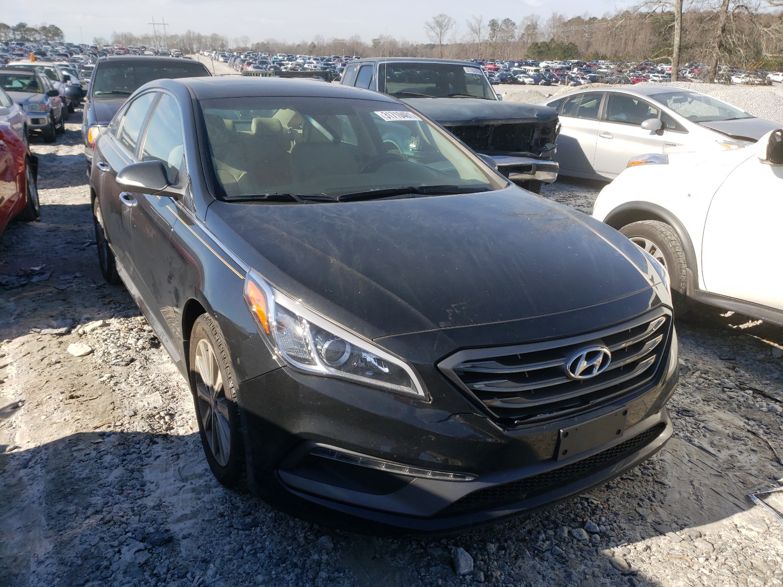 HYUNDAI SONATA SPO 2016 5npe34afxgh297895