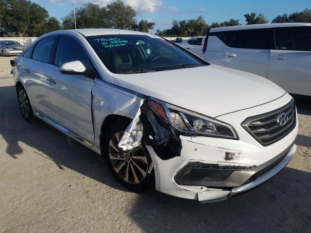 HYUNDAI SONATA SPO 2016 5npe34afxgh311441