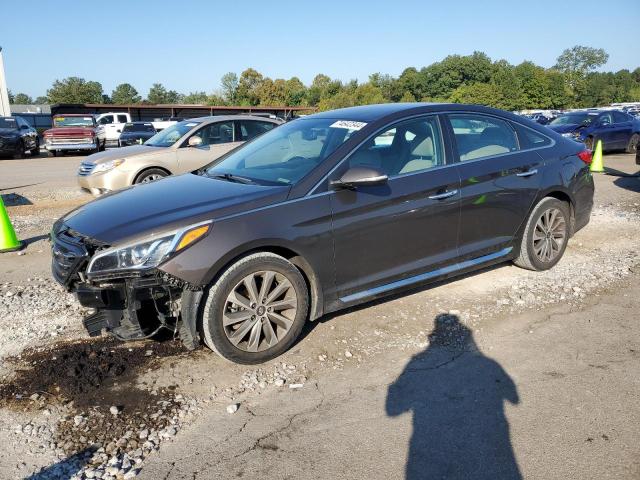 HYUNDAI SONATA SPO 2016 5npe34afxgh329499