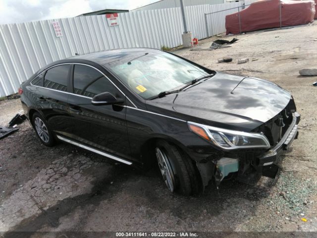 HYUNDAI SONATA 2016 5npe34afxgh344469