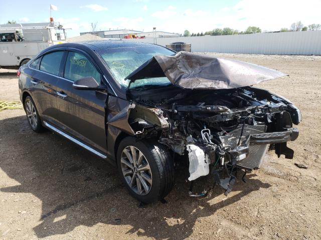 HYUNDAI SONATA SPO 2016 5npe34afxgh353544