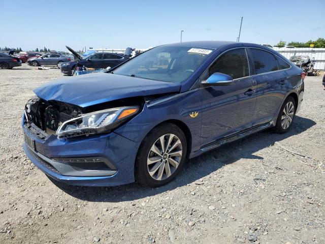 HYUNDAI SONATA SPO 2016 5npe34afxgh366830