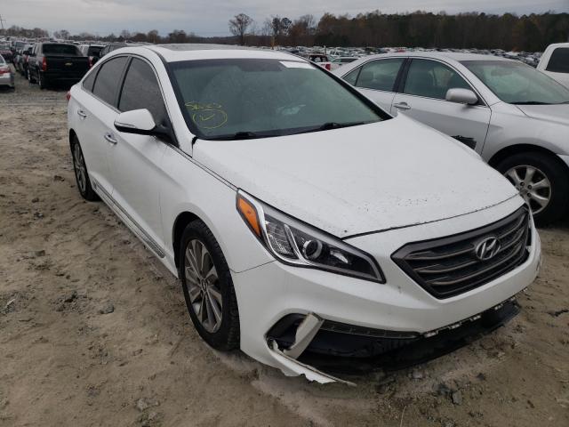 HYUNDAI SONATA SPO 2016 5npe34afxgh381408