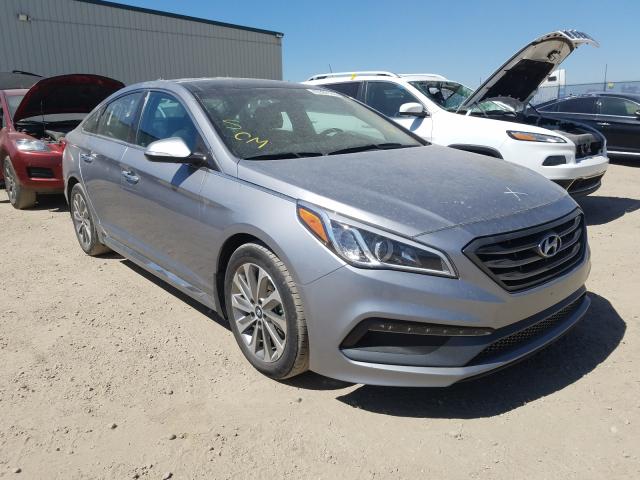 HYUNDAI SONATA SPO 2016 5npe34afxgh398726