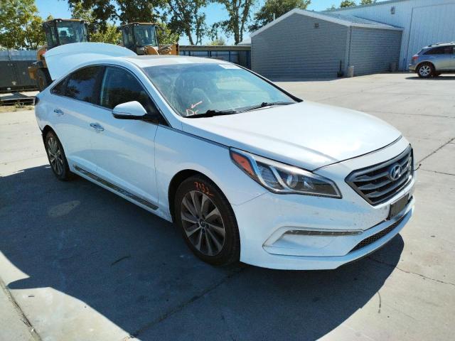 HYUNDAI SONATA SPO 2016 5npe34afxgh413600