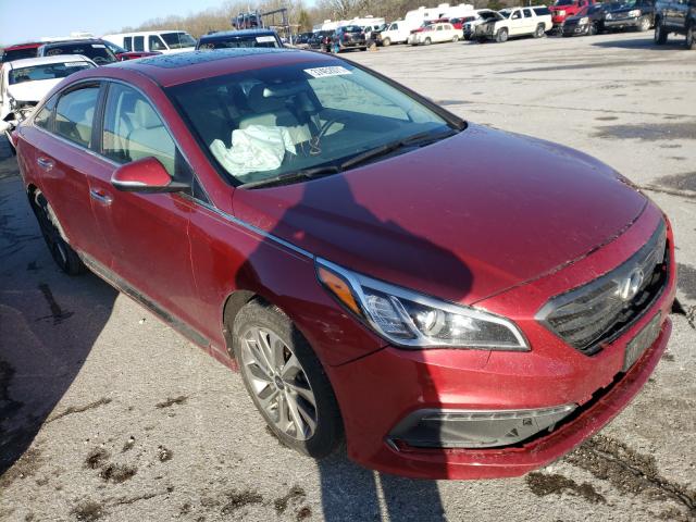 HYUNDAI SONATA SPO 2016 5npe34afxgh420465