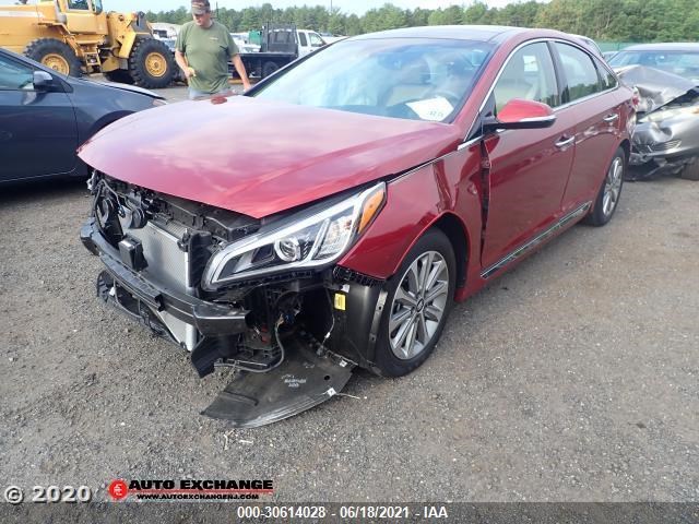 HYUNDAI SONATA 2016 5npe34afxgh424631