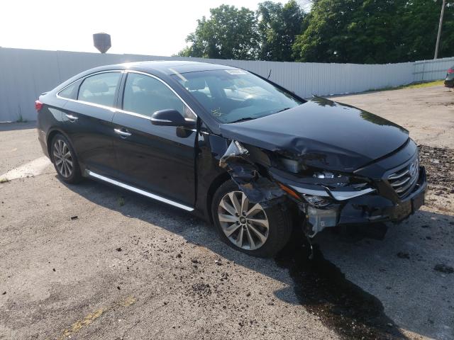 HYUNDAI SONATA SPO 2016 5npe34afxgh425861