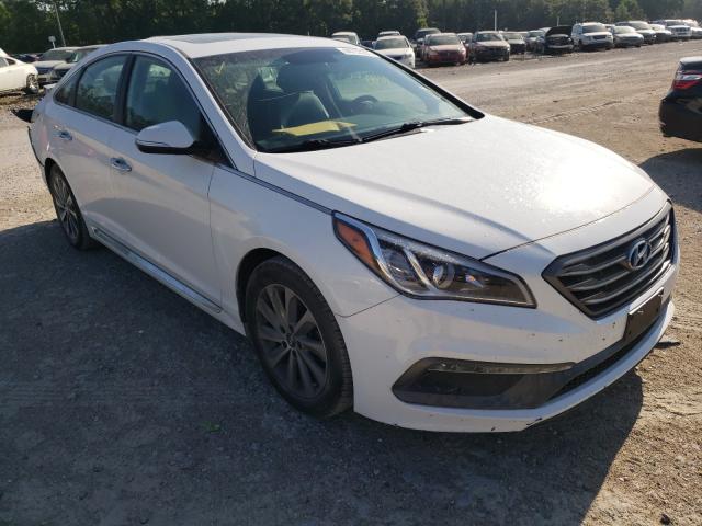 HYUNDAI SONATA SPO 2016 5npe34afxgh427934