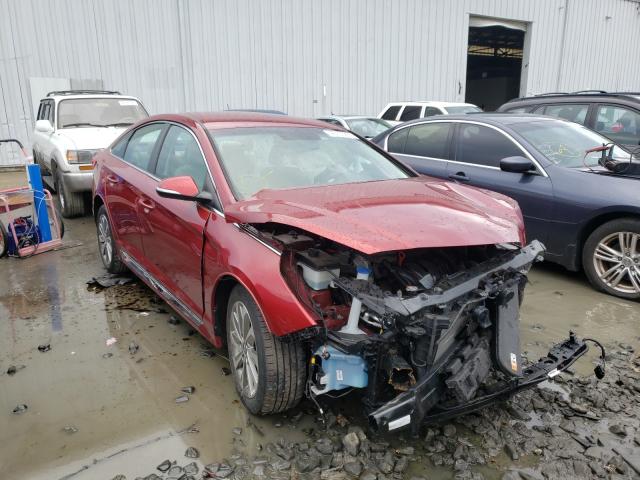 HYUNDAI SONATA SPO 2016 5npe34afxgh430994