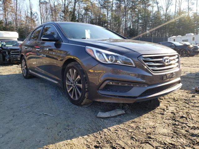 HYUNDAI SONATA SPO 2016 5npe34afxgh434477