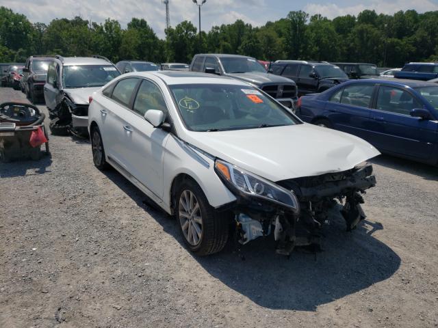 HYUNDAI SONATA SPO 2016 5npe34afxgh434706