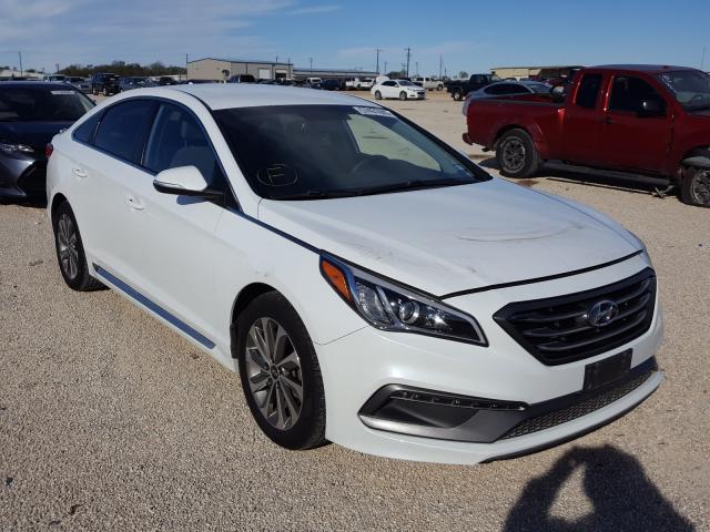 HYUNDAI SONATA SPO 2016 5npe34afxgh436309