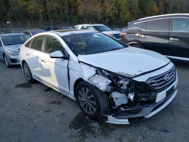 HYUNDAI SONATA SPO 2017 5npe34afxhh436893