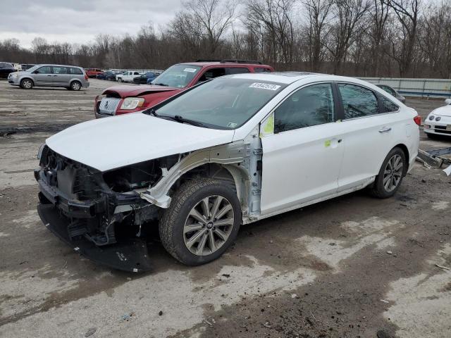 HYUNDAI SONATA 2017 5npe34afxhh501337