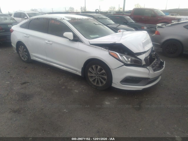 HYUNDAI SONATA 2017 5npe34afxhh510300