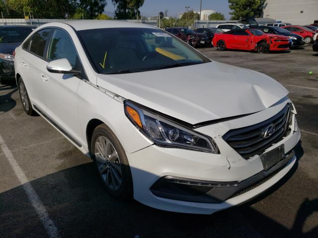 HYUNDAI SONATA SPO 2017 5npe34afxhh534418