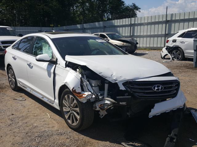 HYUNDAI SONATA SPO 2017 5npe34afxhh538050