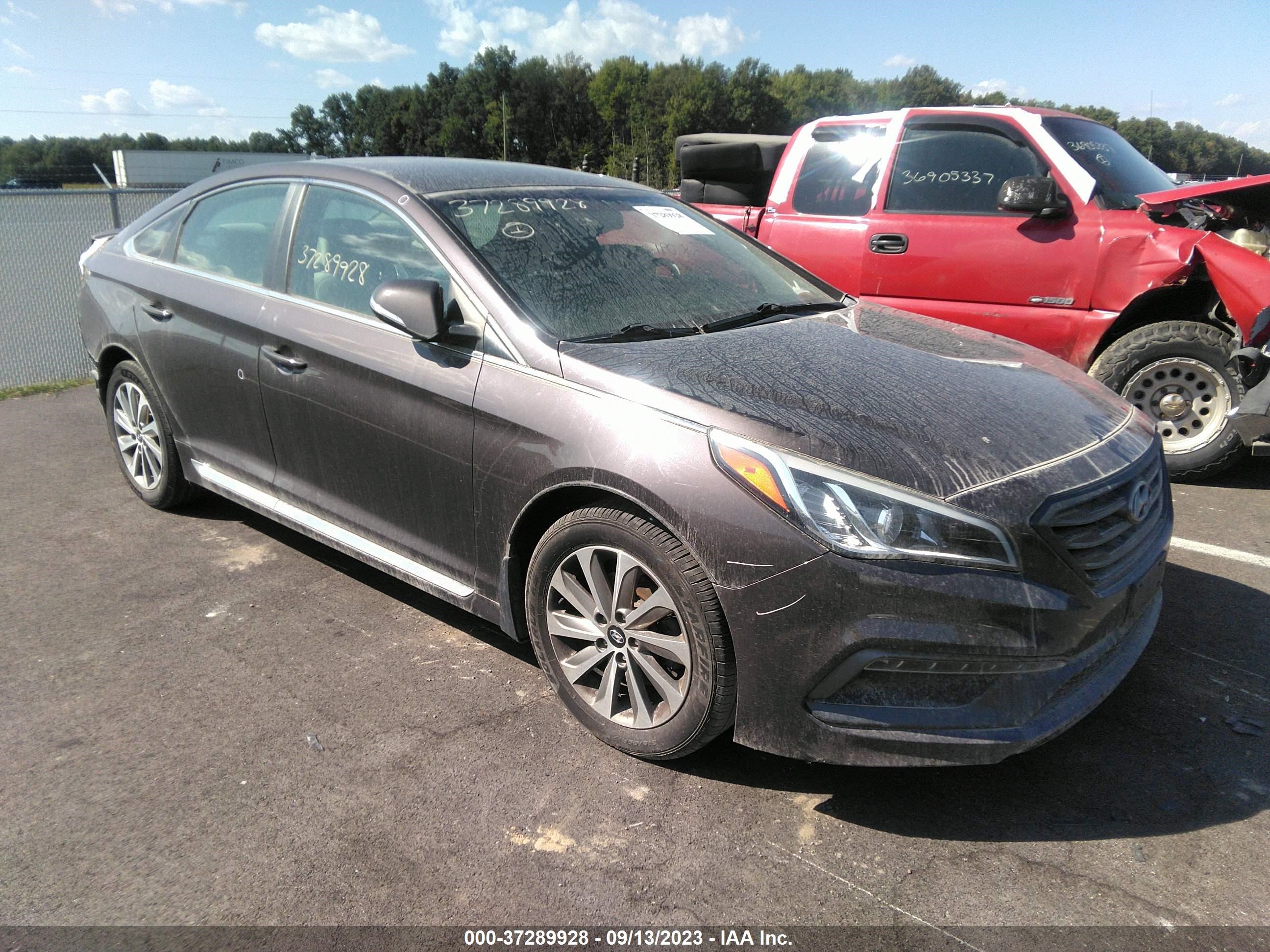 HYUNDAI SONATA 2017 5npe34afxhh545676