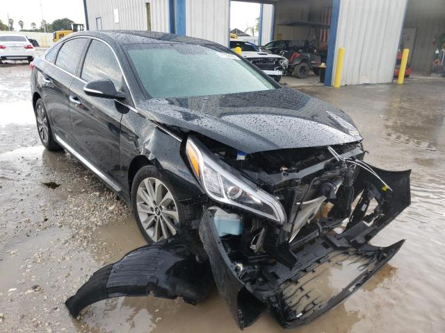 HYUNDAI SONATA SPO 2017 5npe34afxhh550277