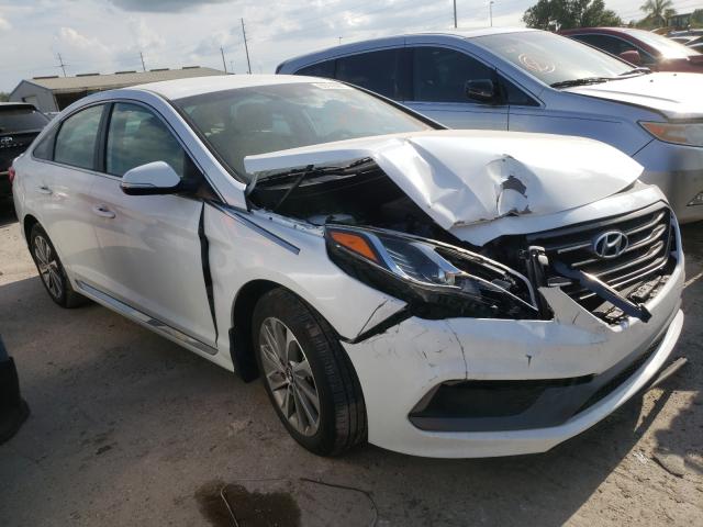 HYUNDAI SONATA SPO 2017 5npe34afxhh589953